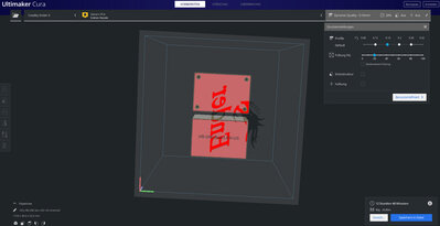 cura 1.jpg