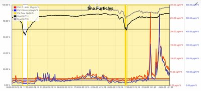 Particles-20100101_11-fine-Sylvester.JPG