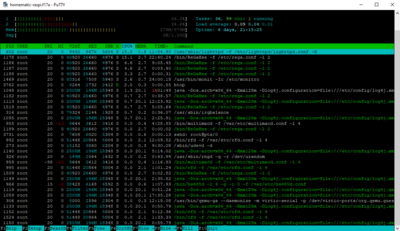htop.png